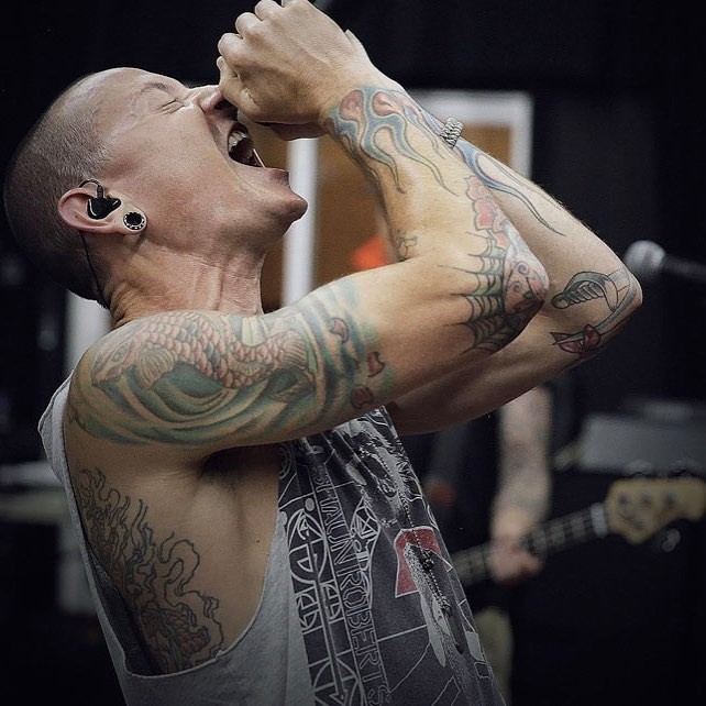 foto para ilustrar chester