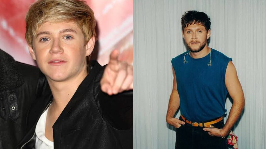 Veja como está cada um dos ex integrantes da boy band One Direction