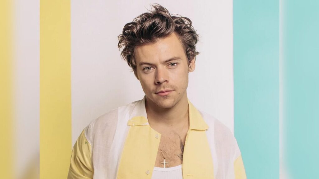 Harry Styles entrou no mundo da música em 2010 como integrante da boy band One Direction. (Foto: Divulgação, Harry Styles)