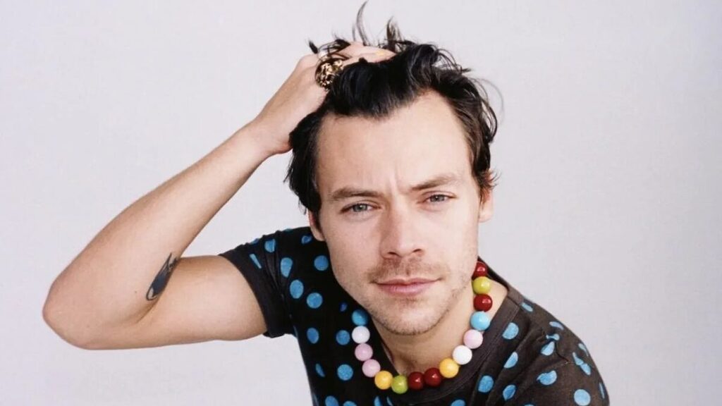 Em 2017, Harry lançou seu primeiro álbum solo (Foto: Divulgação, Harry Styles)