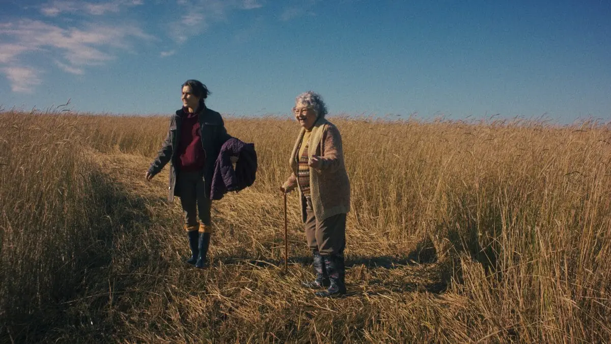 “Um Dia Extraordinário” é o filme catarinense que você não pode deixar de assistir